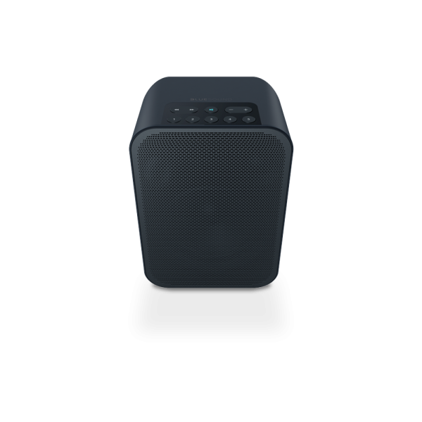 BlueSound Pulse Flex 2i Portable Wireless Streaming Speaker – BLACK